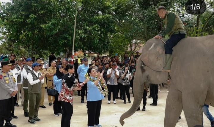 Ketua Komisi IV DPR RI, Kapolri dan Menhut Kunjungi TNTN, Minta Semua Pihak Dukung Upaya Rehabilitasi
