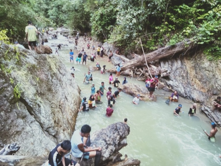 Masyarakat Dusun V Lubuk Ulek Tangkap Ikan Sungai Larangan